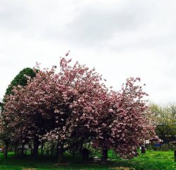 Birmingham Jewellery Quarter8